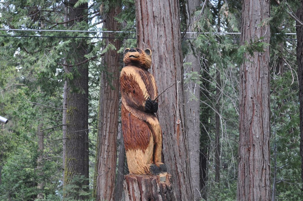 Shaver Lake Sierra National Forest